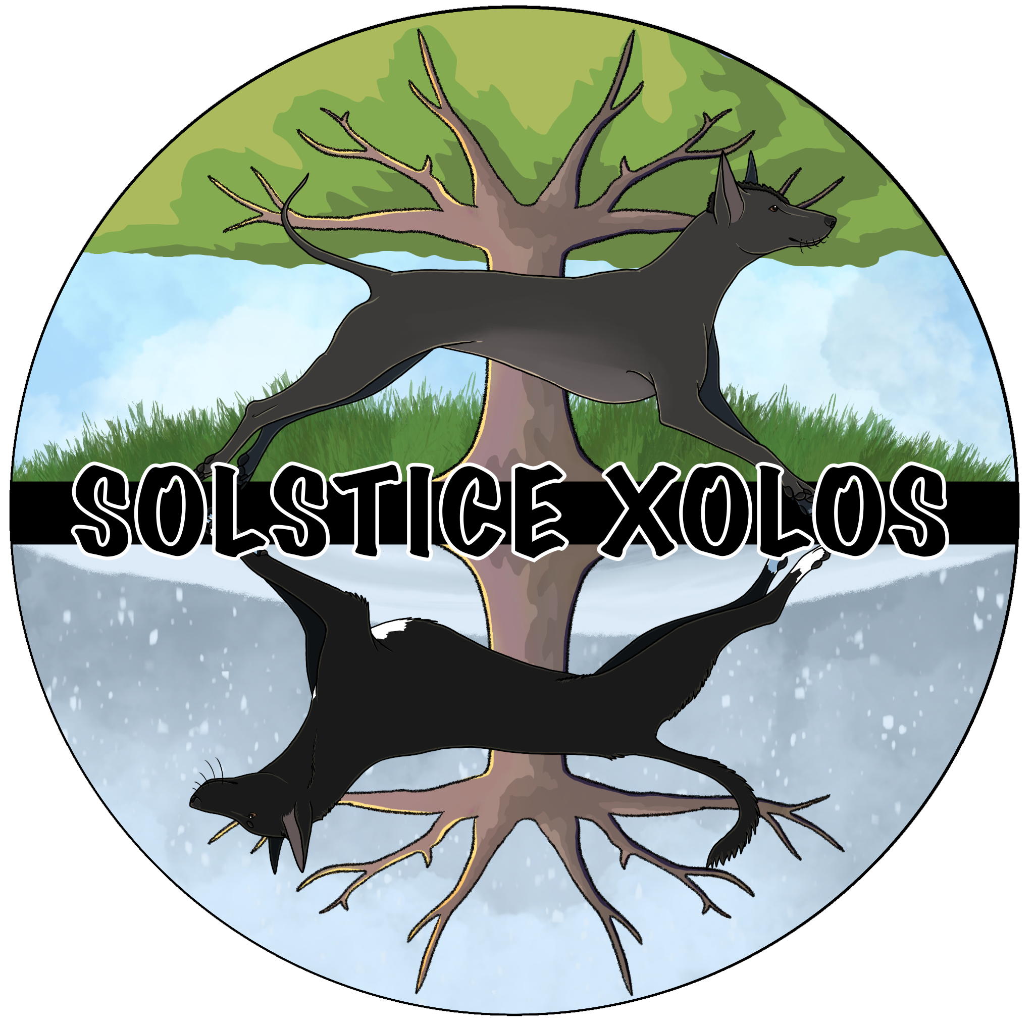 Solstice Xolos