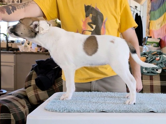 SoXo's Written in the Stars (Fable)