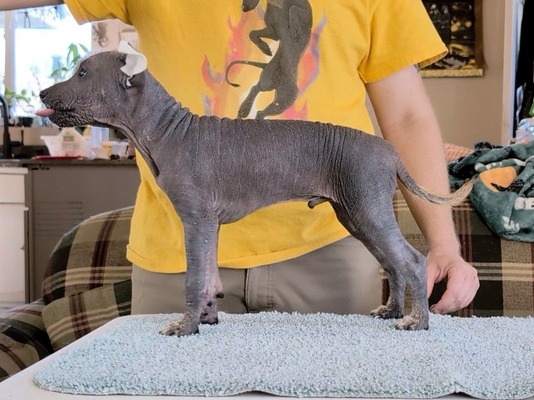 SoXo's I Don't Like This Rock (Maelstrom)